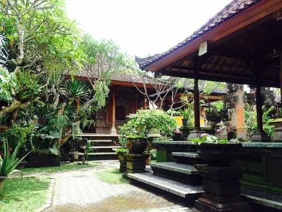 Wina Ubud B&B - Dış Mekan