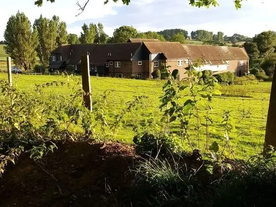 Winchelsea Lodge - Dış Mekan