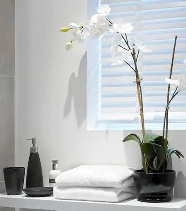 Windfalls Boutique Hotel - Oda