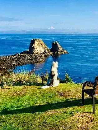 Windhaven B&B - Öne Çıkan Resim