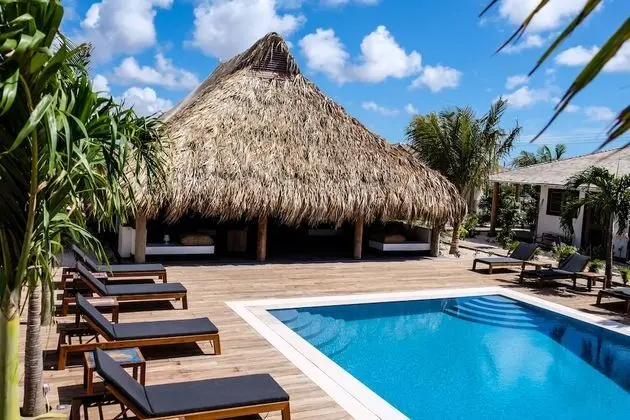 Windhoek Resort Bonaire - Havuz