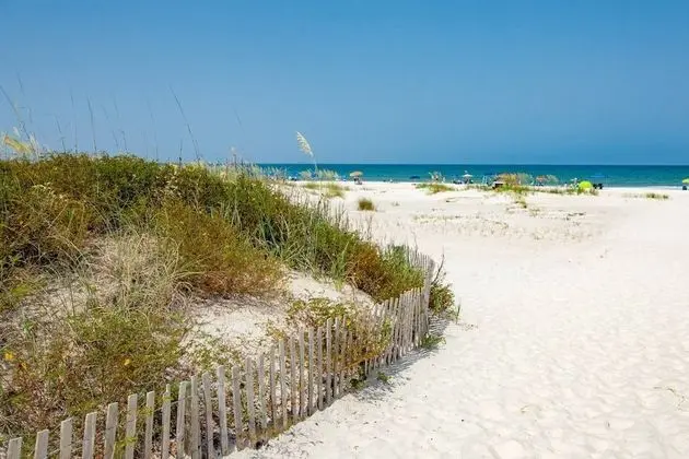 Windswept Beach House