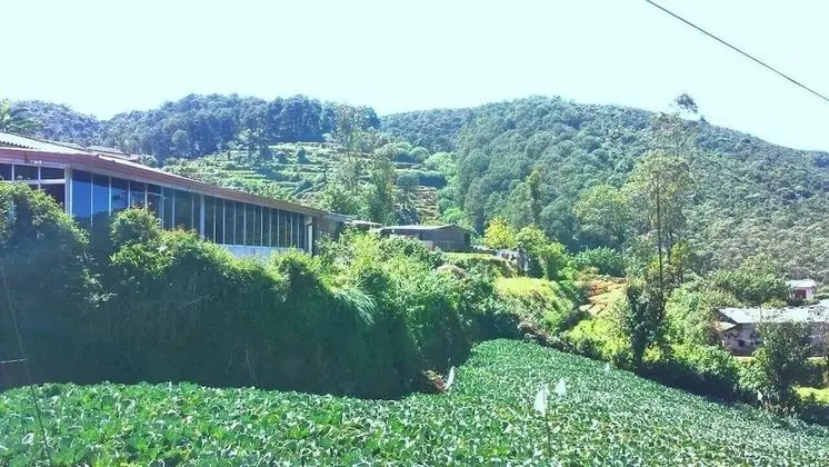 Windy Hills Holiday Bungalow - Oda Manzaraları