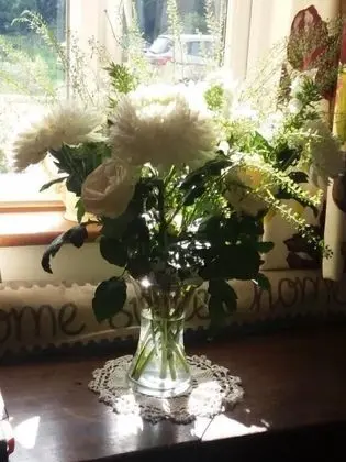 Windylands Bed and Breakfast - Lobi