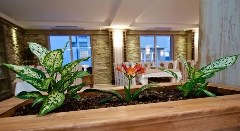 Wine Hotel Cesarica - Yerinde Yemek