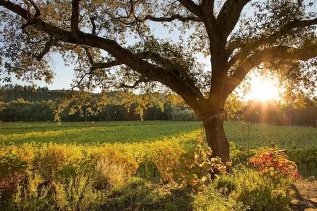 Wine Country Inn & Cottages Napa Valley - Dış Mekan
