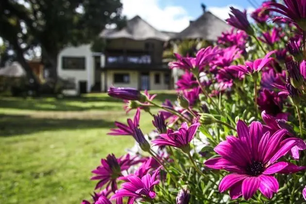 Winelands Villa Guesthouse & Cottages