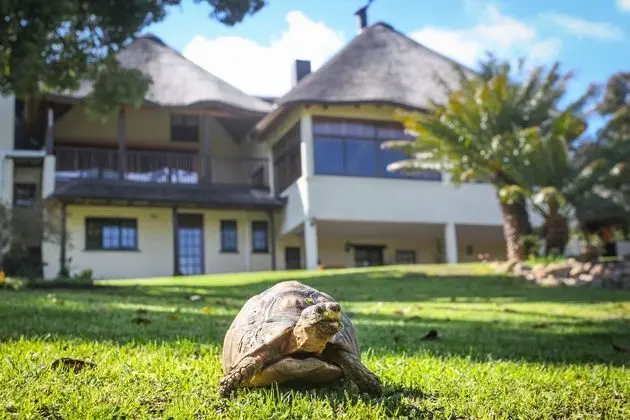 Winelands Villa Guesthouse & Cottages - Dış Mekan