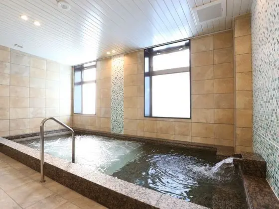 Hotel Wing International Select Higashi Osaka - Havuz