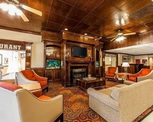 Wingate by Wyndham Marietta Conference Center - Lobi