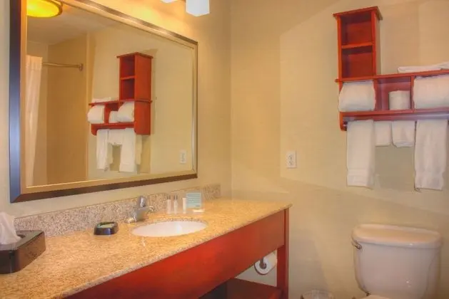 Wingate by Wyndham Steubenville - Banyo Tipleri