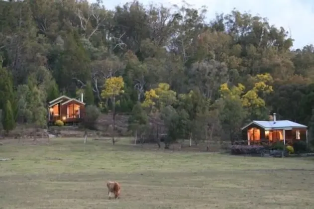 Wisteria Cottage and Cabins - 1