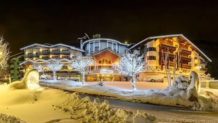 Wohlfuehlhotel Schiestl - Dış Mekan
