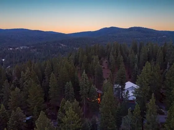 Wolfe in California