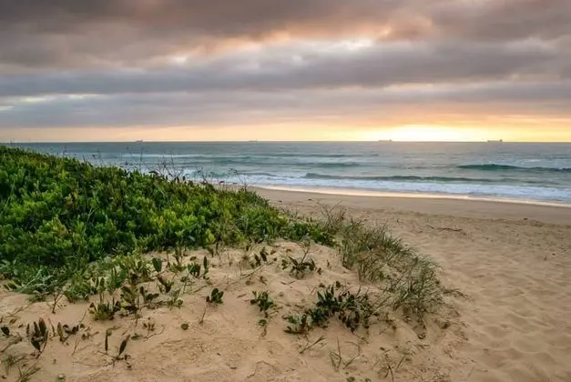 Wollongong Surf Leisure Resort - Plaj