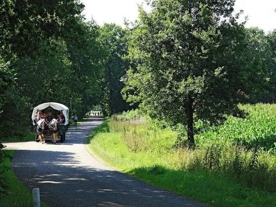 Wonderful Holiday Home in Zuidwolde With Terrace, Garden