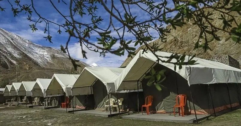 Wonderland Tourist Camp - Dış Mekan