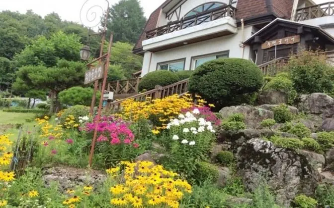 Wonju Chiaksan Juryeongol Pension - Misafir Tesisleri ve Hizmetleri