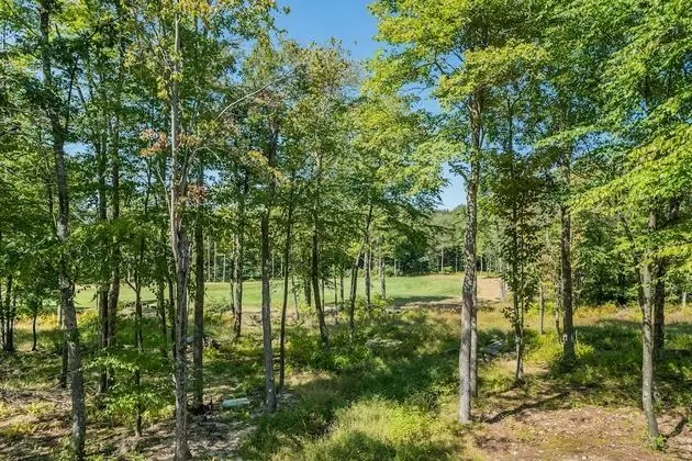 Wood-fore Reserve - Dış Mekan
