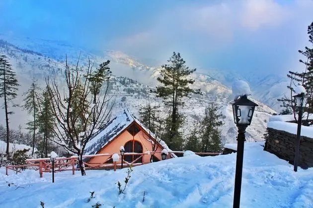 Wood Vista Cottages