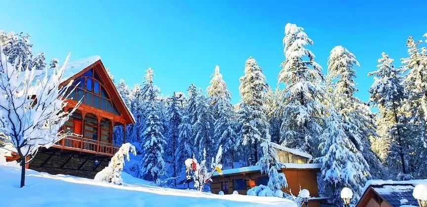 Wood Vista Cottages - Oda