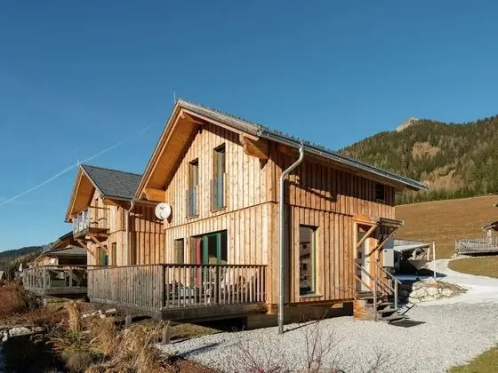 Wooden Chalet in Hohentauern by the Forest - Dış Mekan