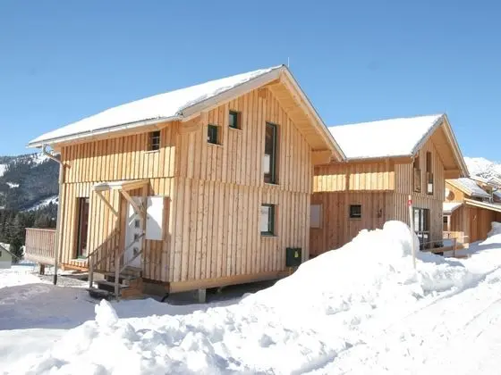 Wooden Chalet in Hohentauern by the Forest - Dış Mekan