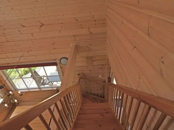 Wooden Holiday Home in Wissinghausen With Private Sauna - İç Mekan