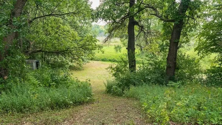 Woodhaven Retreat - Dış Mekan