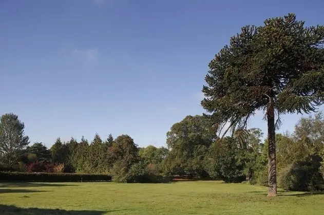 Woodland Grange - Dış Mekan