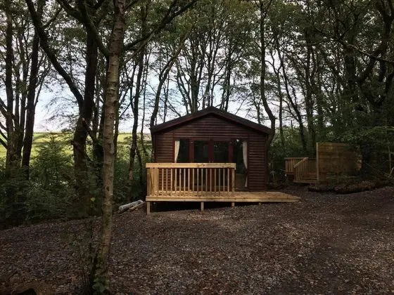 Woodland View Hot Tub
