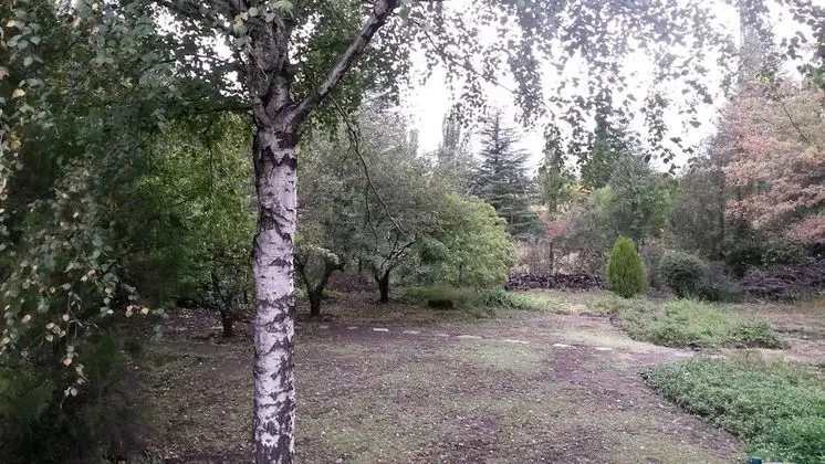 Woodlands Retreat - Dış Mekan