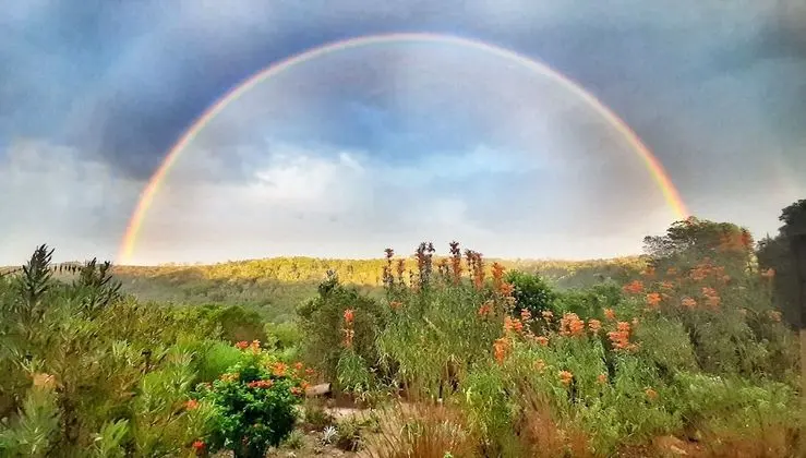 Woodlands Self Catering, Knysna - Dış Mekan