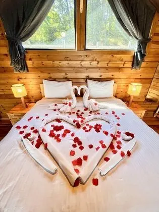 Woodlodge Country Sapanca Hotel - Oda