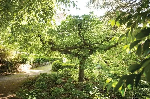 Woolrich Historic Garden Cottage - Dış Mekan