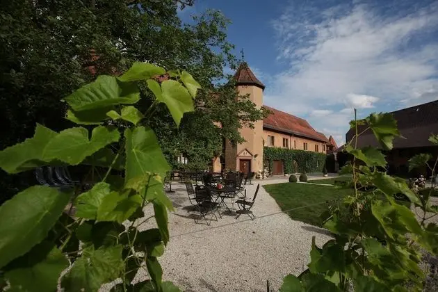 Wörners Schloss Weingut & Wellness Hotel - Dış Mekan