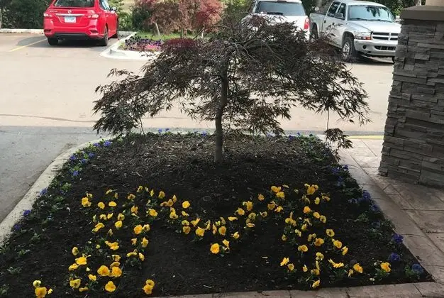 Wyndham Garden Ann Arbor - Dış Mekan