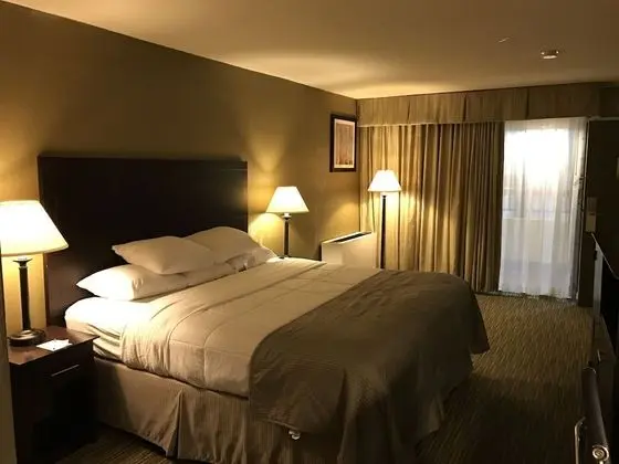 Wyndham Garden Ann Arbor - Oda