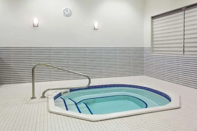 Wyndham Garden Edmonton Airport - Havuz