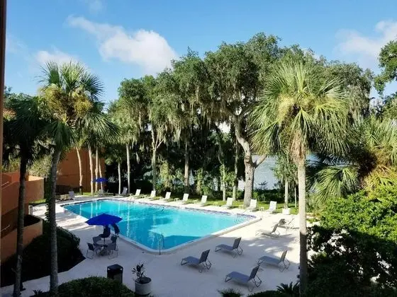 Wyndham Garden Gainesville - Havuz