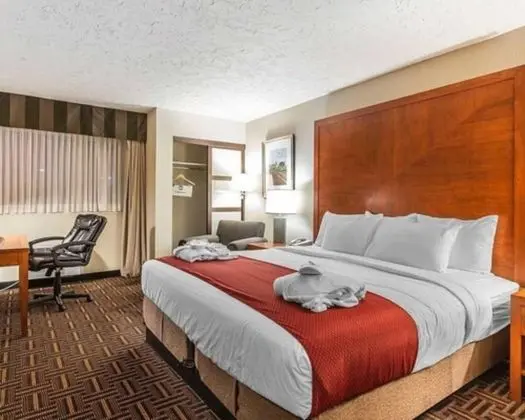 Wyndham Garden Medicine Hat Conference Center - Öne Çıkan Resim