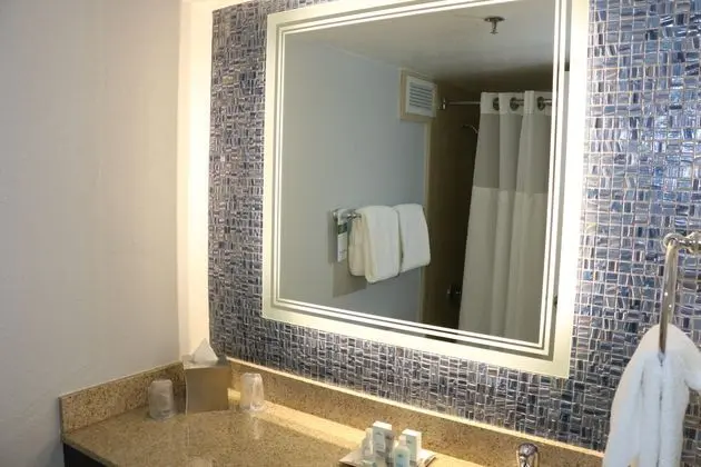 Wyndham Lake Buena Vista Disney Springs - Oda