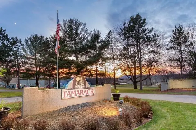 Wyndham Tamarack - Extra Holidays
