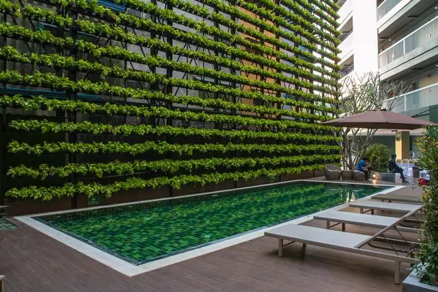 X2 Vibe Chiang Mai Decem Hotel - Havuz