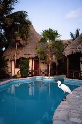 Xaloc Resort - Havuz