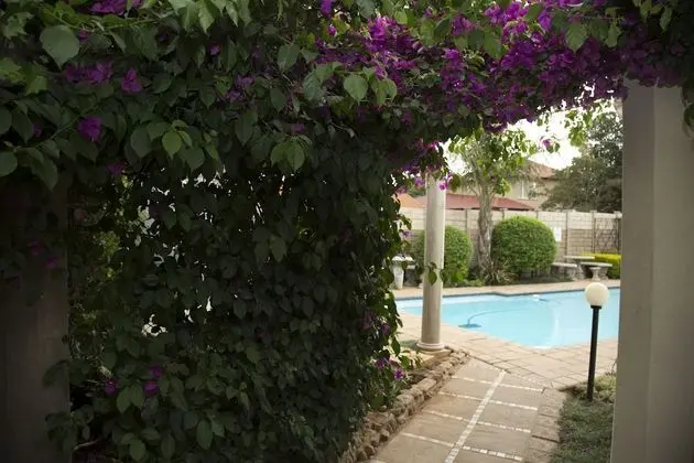 Xaviera Guest House - Havuz