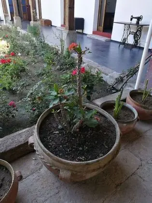 Xela Columbus guest house