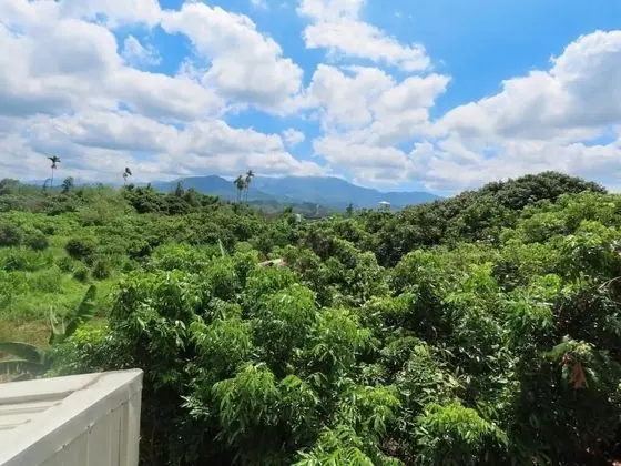 Xiangyang Tianyuan Ju Homestay - Dış Mekan
