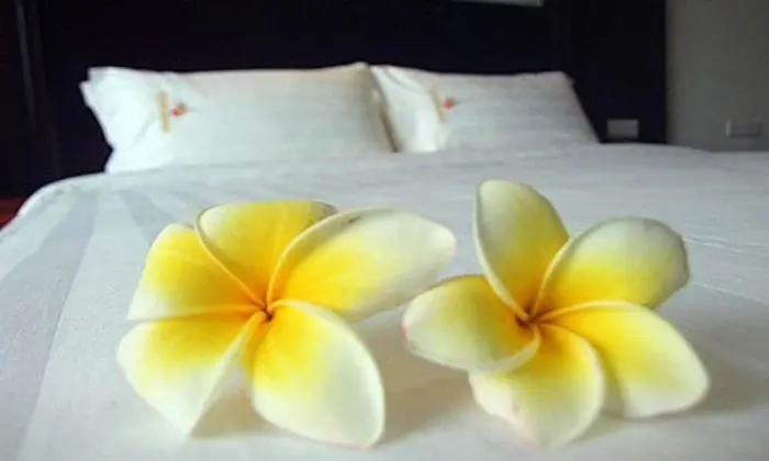 Xishuangbanna Hotel Laos Luang Prabang - Oda