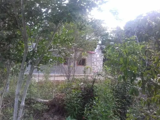 Hotel y Temazcal en Solferino - Dış Mekan